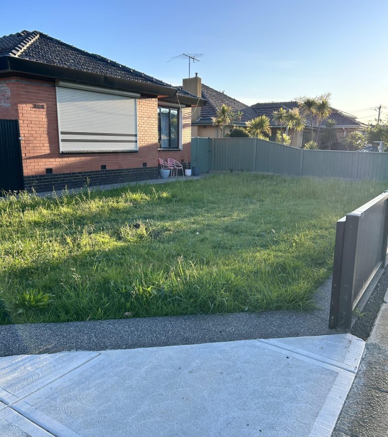 Front_Yard_Dig_Out